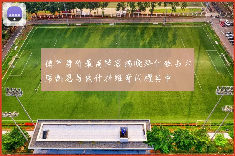 德甲身价最高阵容揭晓拜仁独占六席凯恩与武什科维奇闪耀其中
